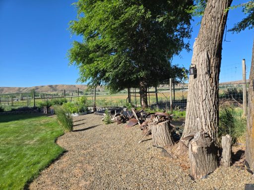Pathway to the Pasture A scenic garden path lined with trees and rocks under a clear blue sky.