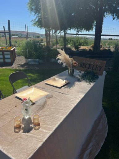 Guestbook in the Garden A sunny outdoor setup with a decorated table and decorative elements for an event.