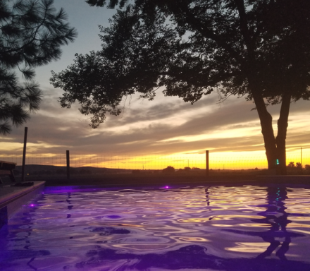 Twilight Reflections Sunset over a pool, with vibrant colors reflecting on the water surface.