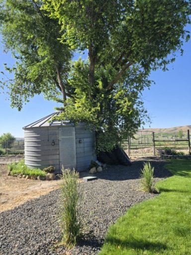 The Silo & the Tree A metal grain silo next to a large tree, surrounded by gravel and green grass.